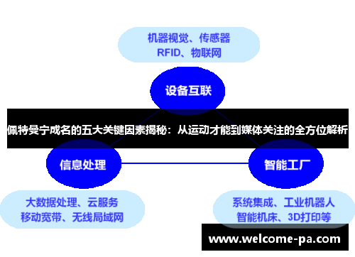 佩特曼宁成名的五大关键因素揭秘:从运动才能到媒体关注的全方位解析 佩特曼宁成名的五大关键因素揭秘:从运动才能到媒体关注的全方位解析