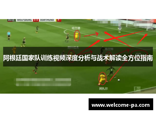 阿根廷国家队训练视频深度分析与战术解读全方位指南