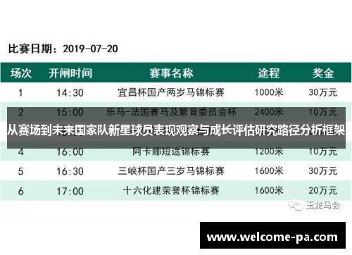 从赛场到未来国家队新星球员表现观察与成长评估研究路径分析框架 从赛场到未来国家队新星球员表现观察与成长评估研究路径分析框架