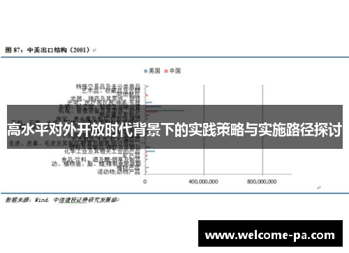 高水平对外开放时代背景下的实践策略与实施路径探讨