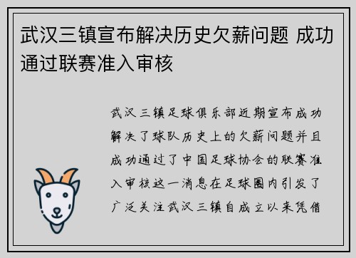 武汉三镇宣布解决历史欠薪问题 成功通过联赛准入审核 武汉三镇宣布解决历史欠薪问题 成功通过联赛准入审核